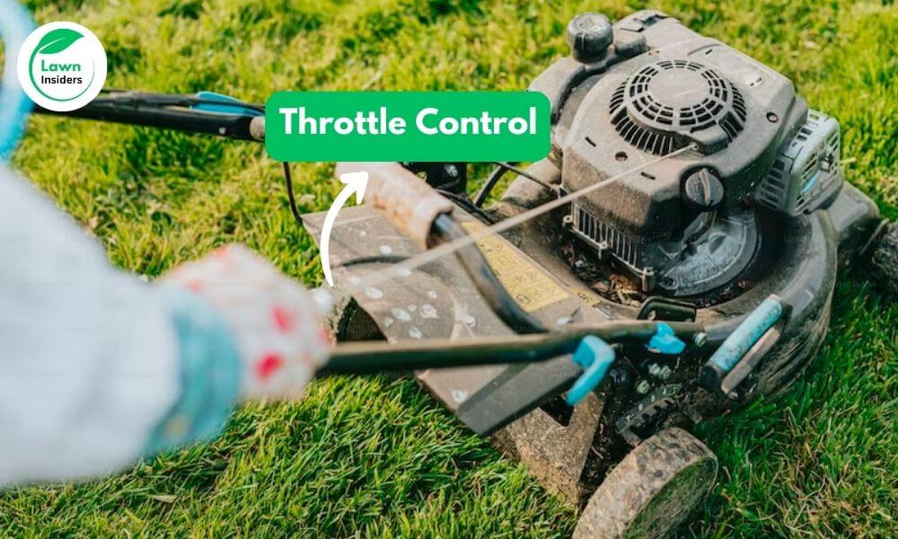 Throttle Control 1
